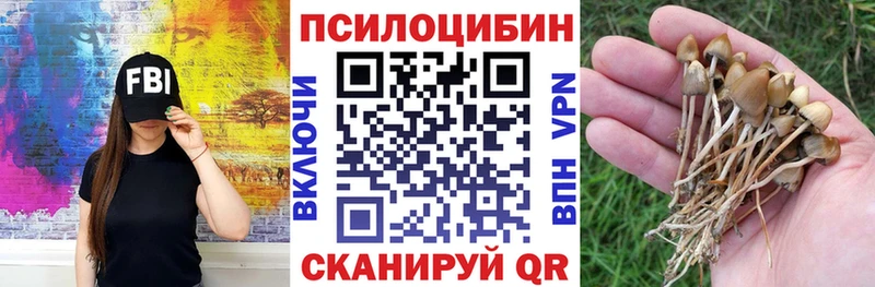 Галлюциногенные грибы Psilocybe  как найти наркотики  Отрадный 